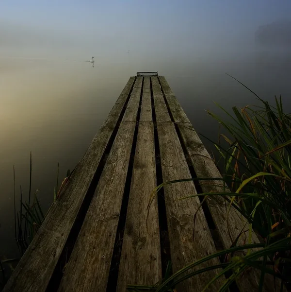 IMGP2731.webp