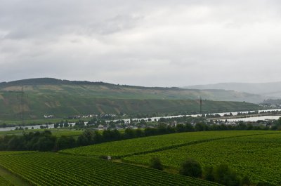 IMGP6400.jpg