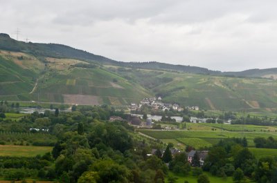 IMGP6403.jpg