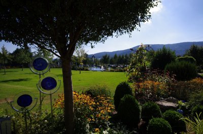 IMGP2918.jpg