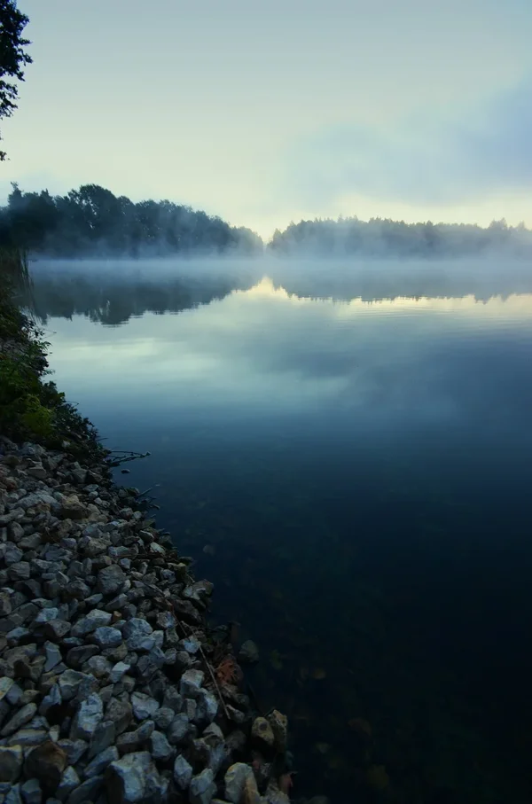 IMGP2942.webp