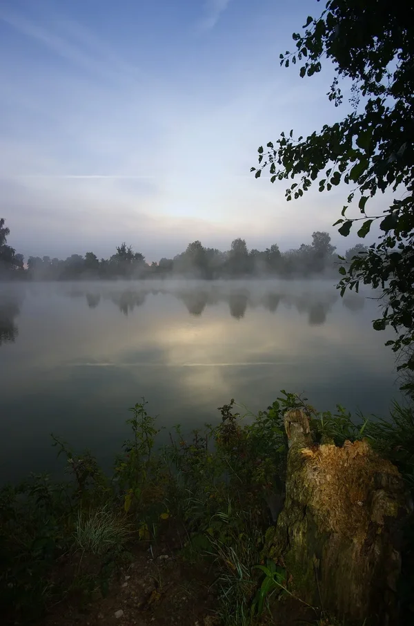 IMGP3108.webp