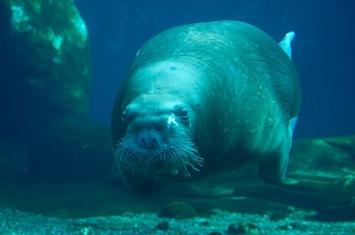 IMGP4102.jpg IMGP4102.jpg