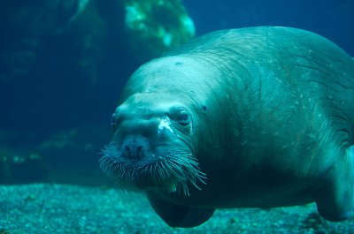 IMGP4103.jpg IMGP4103.jpg