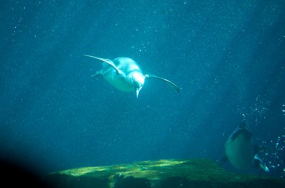 IMGP4157.jpg IMGP4157.jpg