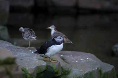 IMGP4163.jpg IMGP4163.jpg