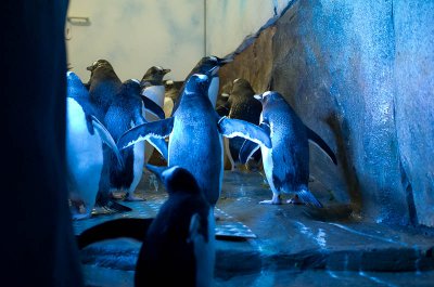 IMGP4178.jpg IMGP4178.jpg