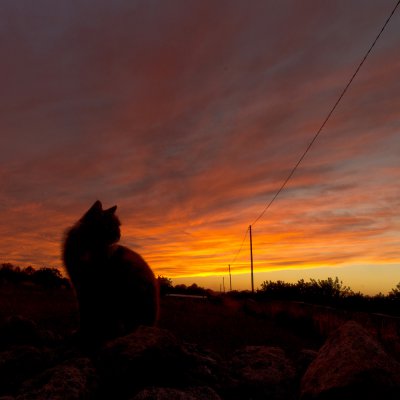 Sonnenuntergang_20120924.JPG