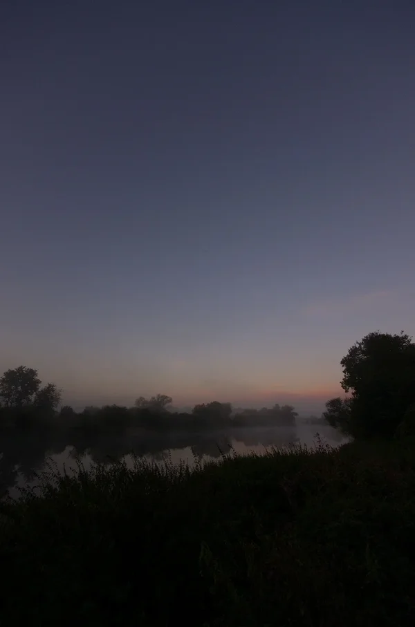 IMGP3465.webp