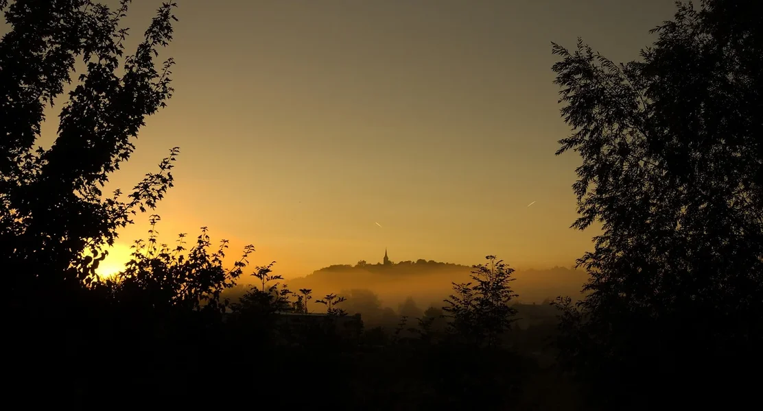 IMGP3499.webp