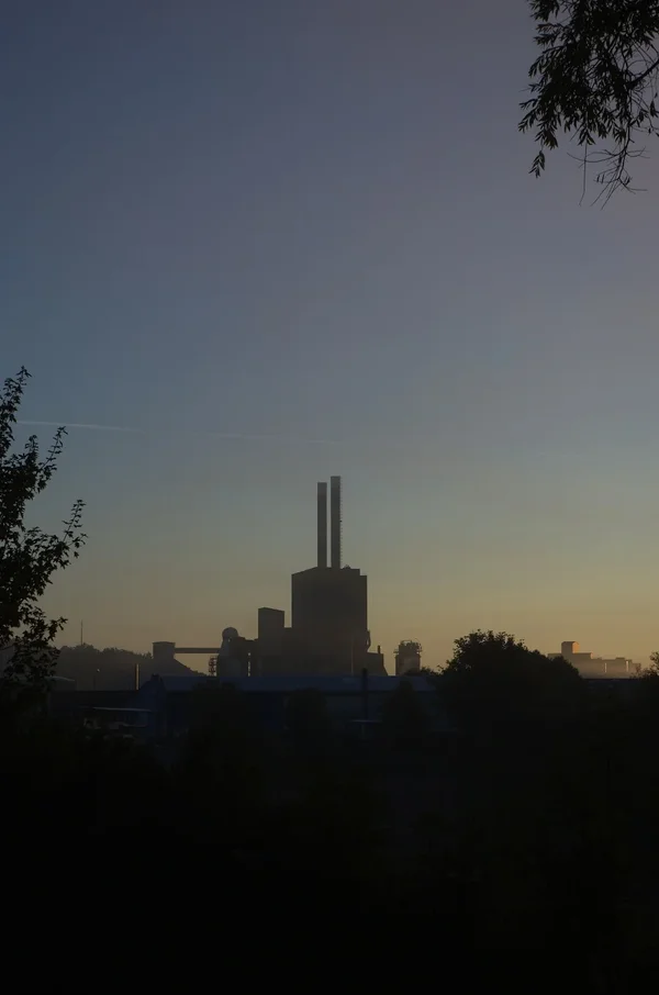 IMGP3510.webp