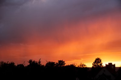 IMGP0815.jpg IMGP0815.jpg