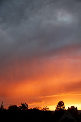 IMGP0817.jpg IMGP0817.jpg