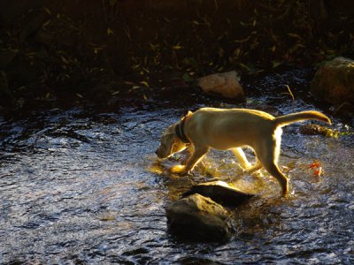 IMGP0668.JPG IMGP0668.JPG