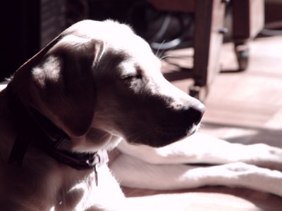 IMGP0957.JPG IMGP0957.JPG