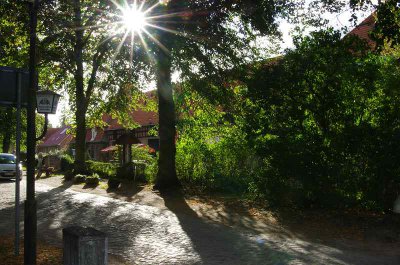 comp_IMGP7696.jpg comp_IMGP7696.jpg