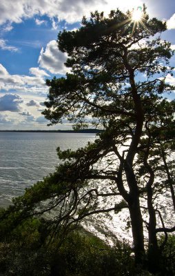 comp_IMGP7871.jpg comp_IMGP7871.jpg