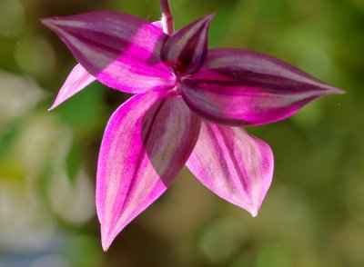 Gegenmkicht_20121004.JPG Gegenmkicht_20121004.JPG