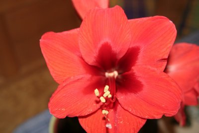IMG_8535.jpg