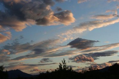 IMG_5427 (Small).jpg