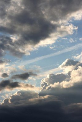 IMG_5602 (Small).jpg