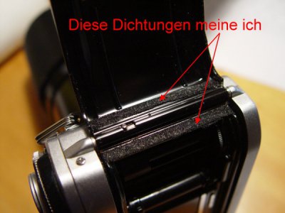 DSC09947.jpg
