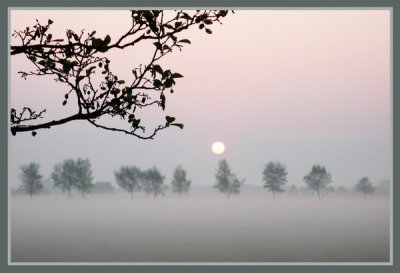 Morgennebel.jpg