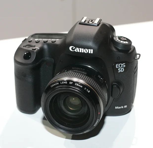 IF6S0088-thielefoto.webp