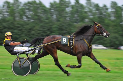 20090729-HFO_3355.jpg 20090729-HFO_3355.jpg