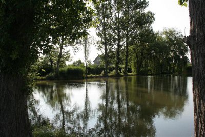 IMG_2304 (Large) (Medium).JPG