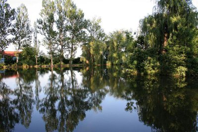 IMG_2268 (Large) (Medium).JPG