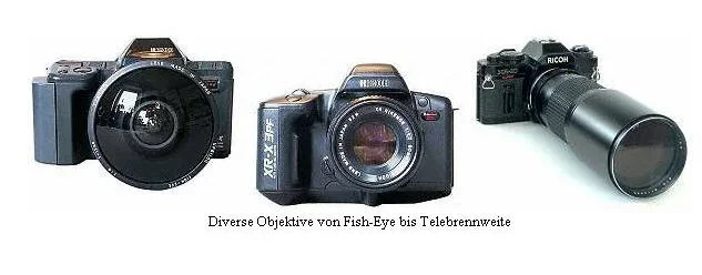 6.webp