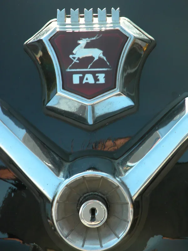 DSCN0285.webp