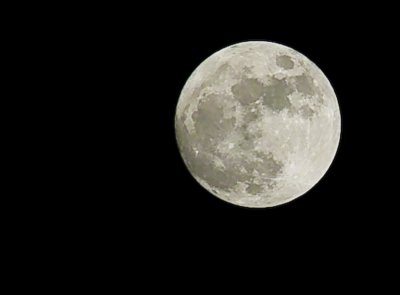 Mond_800.jpg Mond_800.jpg