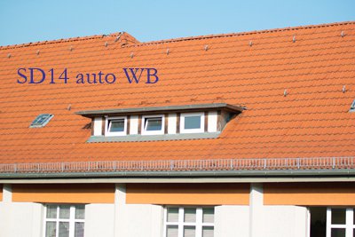 SDIM4259a Kopie.jpg