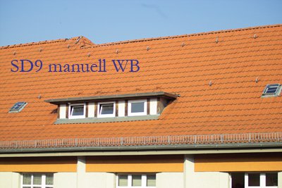 IMG10008b Kopie.jpg