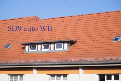 IMG10008a Kopie.jpg
