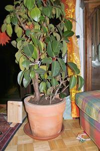 sample 6.jpg