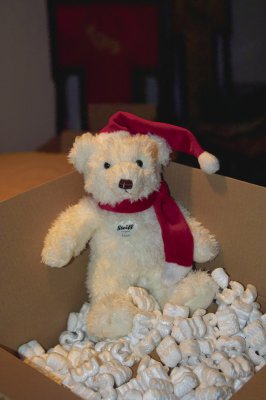 Baer_klein4.jpg