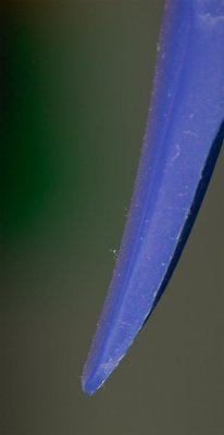 SDIM0022.jpg