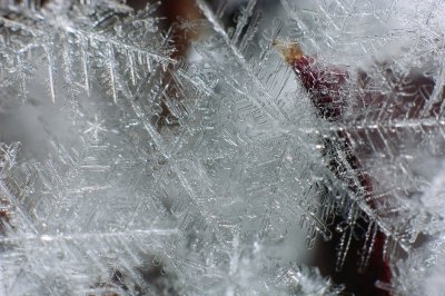flocken002.jpg