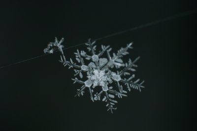 flocken005.jpg