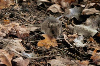 th_IMG03116.jpg th_IMG03116.jpg