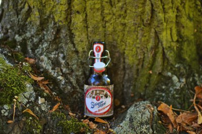 Gießen_Bierflasche_am_BaumM.jpg