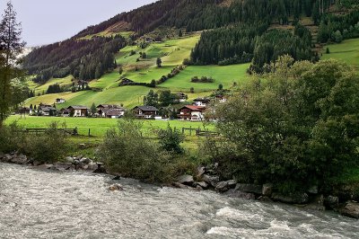 grün.jpg
