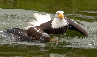 IMG_1125.jpg