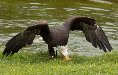 IMG_1134.jpg