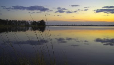 IMG11749.jpg