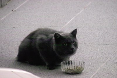 Test-Bild.jpg