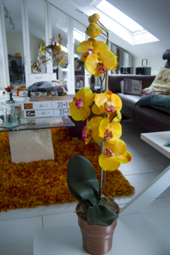 Test-Bild.jpg